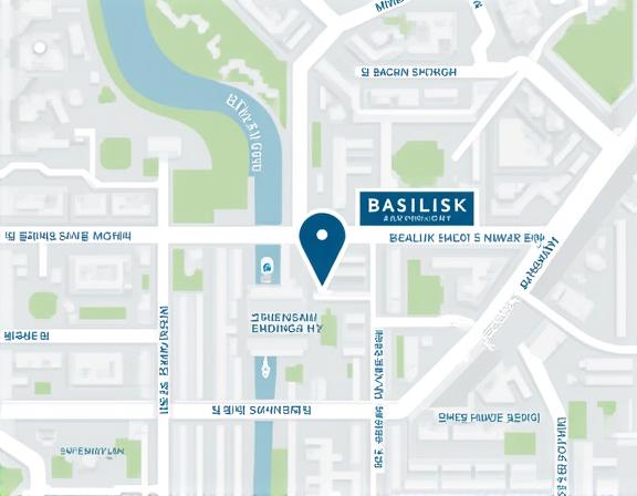 바실리스크 백핸드 아카데미 위치 지도